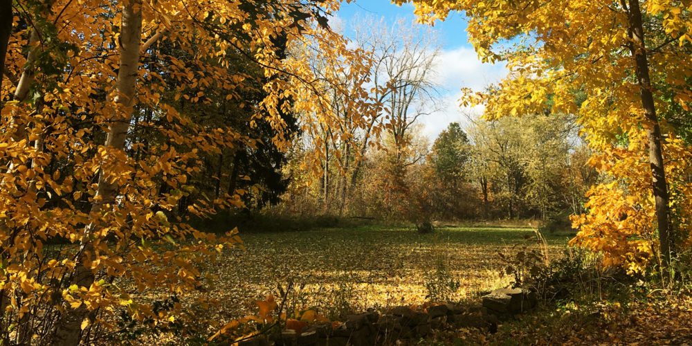 Autumn